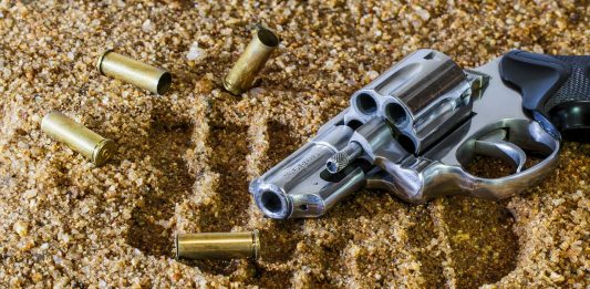 השבת רישיון נשק