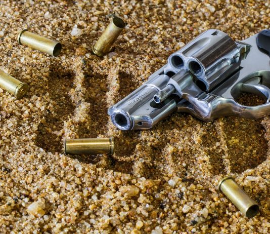 השבת רישיון נשק השבת רישיון נשק